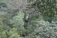  2007-12-10 14.19.52.JPG 